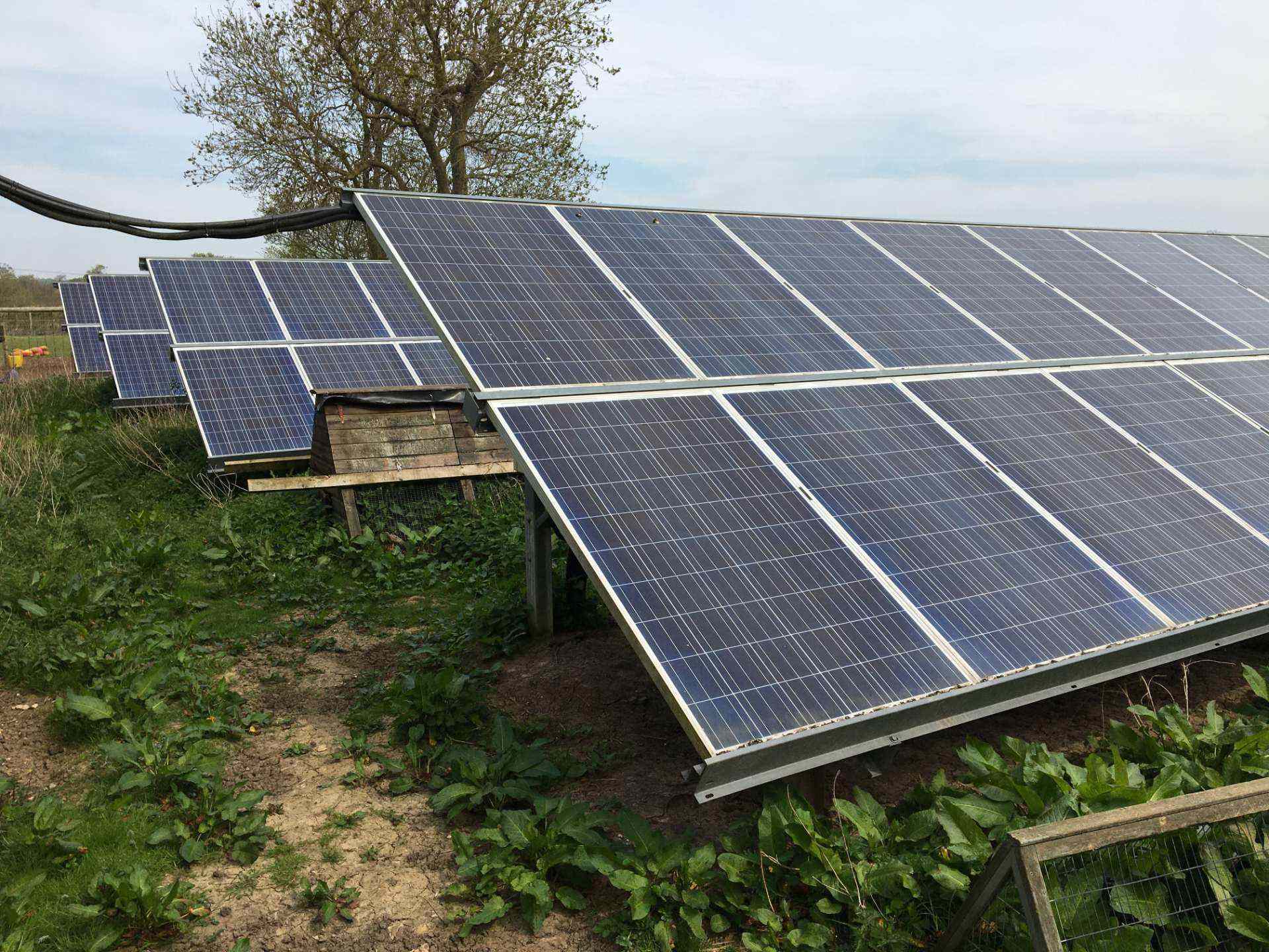 Solar panels in green field