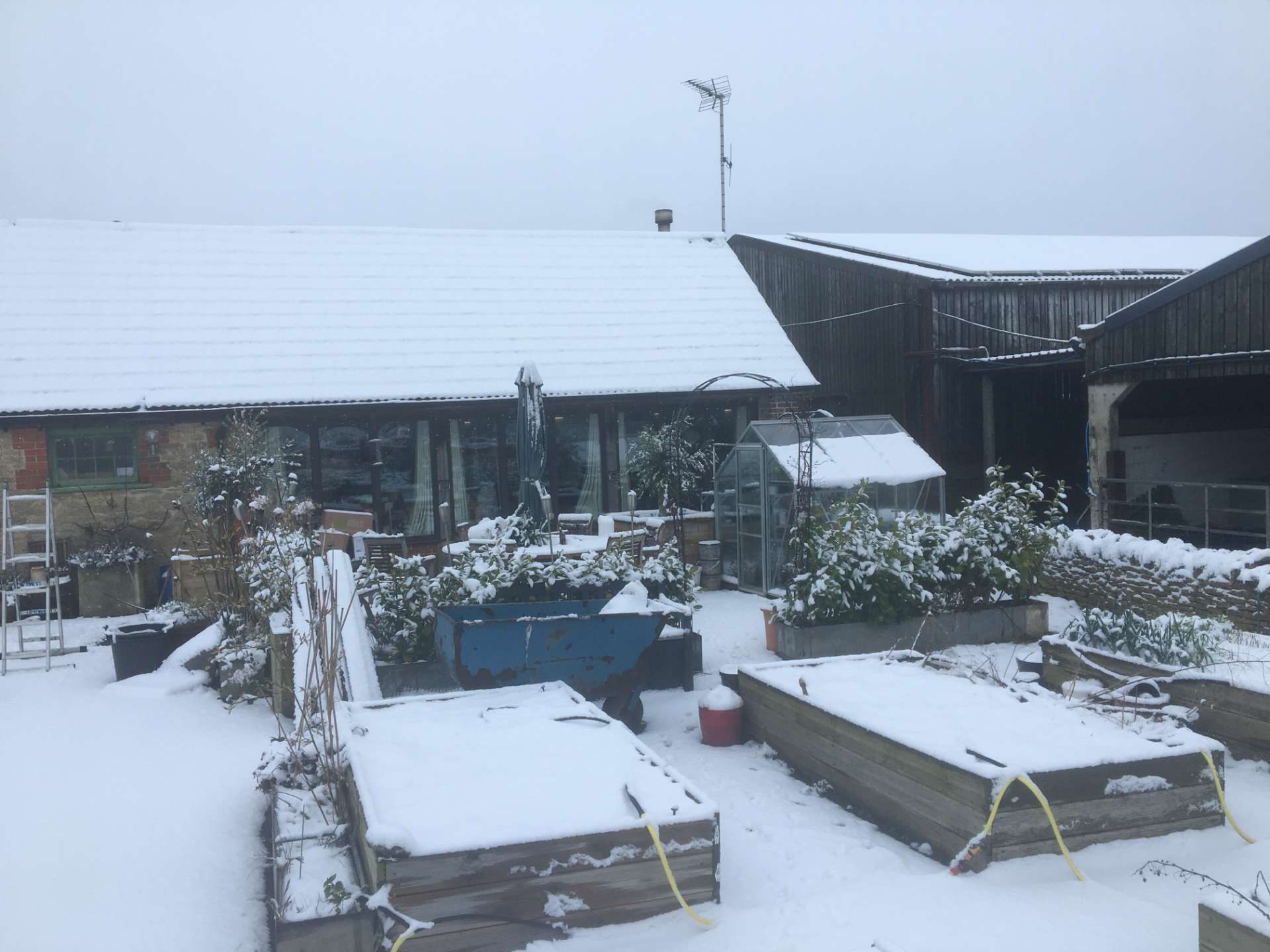Snow-covered garden scene